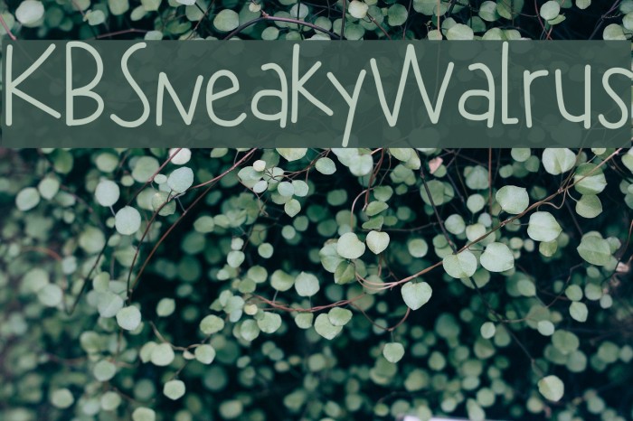 KBSneakyWalrus Font examples