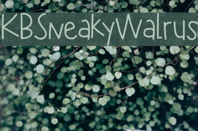 KBSneakyWalrus Example 3