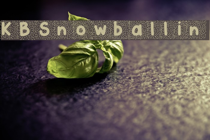 KBSnowballin Font examples