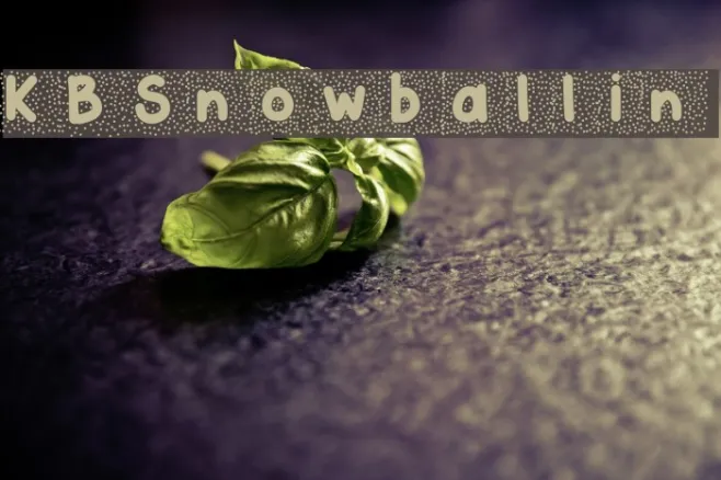 KBSnowballin Example 1