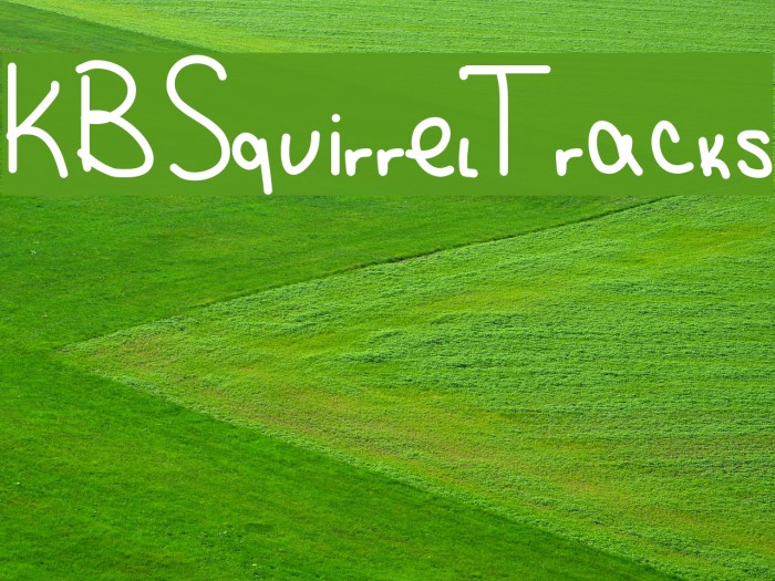 KBSquirrelTracks Font examples