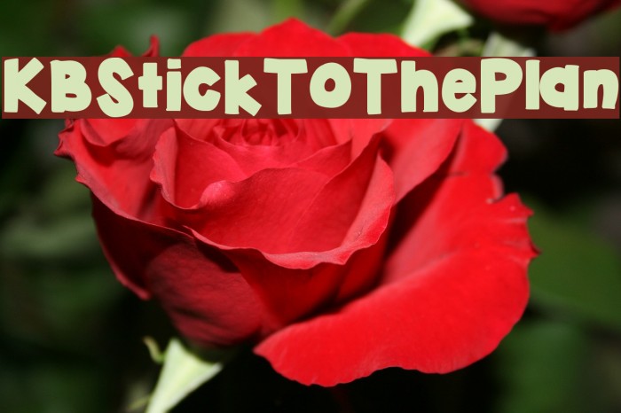 KBStickToThePlan Example 1