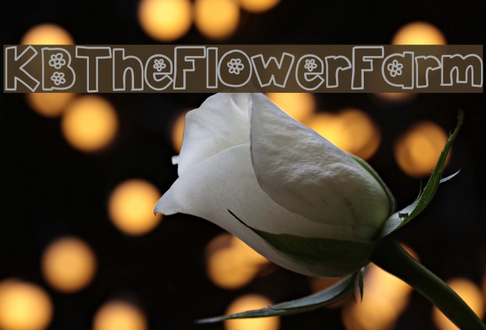 KBTheFlowerFarm Font examples