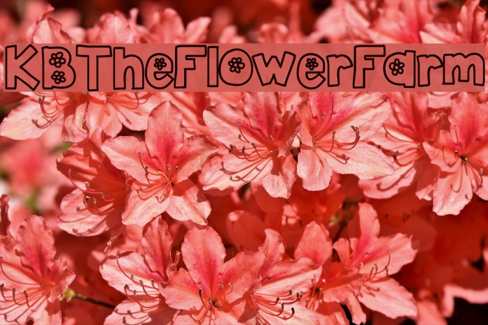 KBTheFlowerFarm Font examples