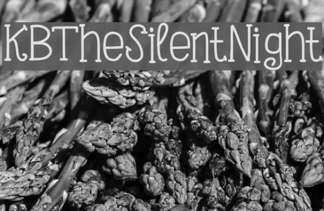 KBTheSilentNight Font examples