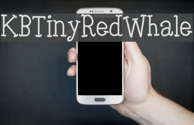 KBTinyRedWhale Example 2