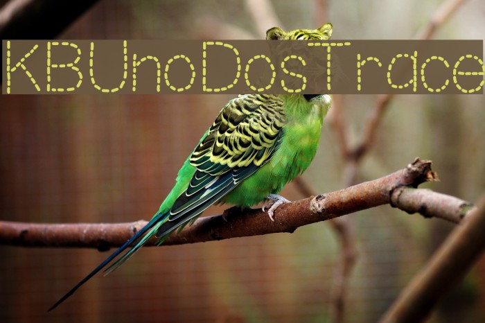 KBUnoDosTrace Example 3