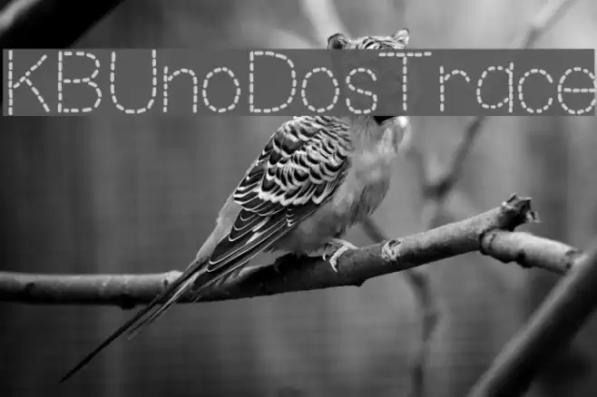 KBUnoDosTrace Font examples