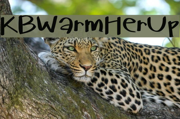 KBWarmHerUp Font examples