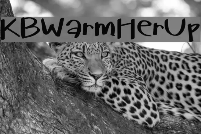 KBWarmHerUp Font examples