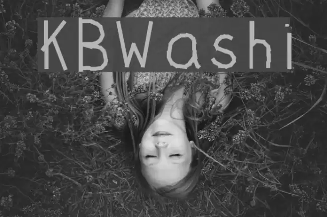 KBWashi Font examples
