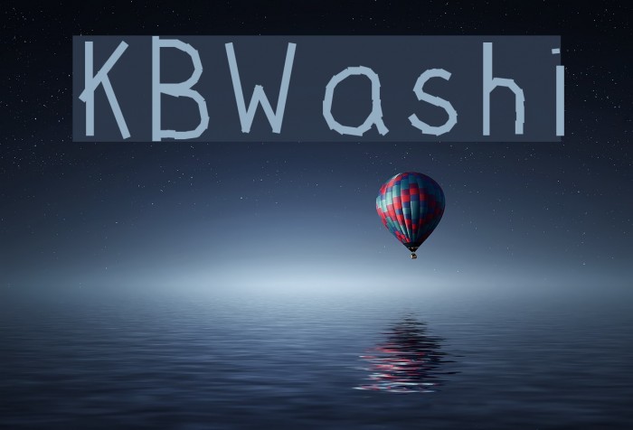 KBWashi Example 2