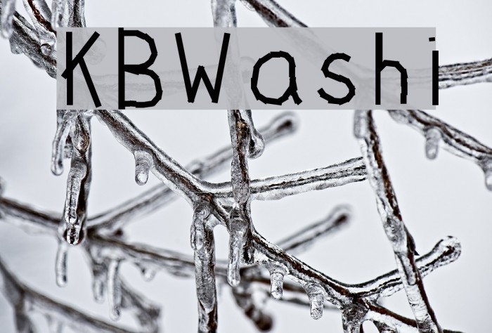 KBWashi Example 3