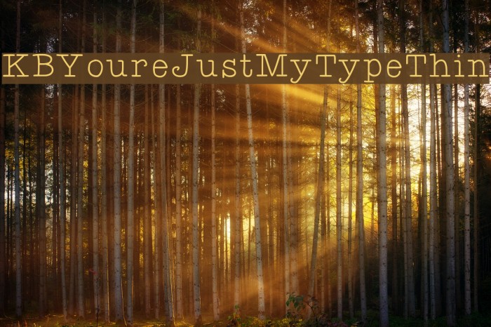KBYoureJustMyTypeThin Font examples