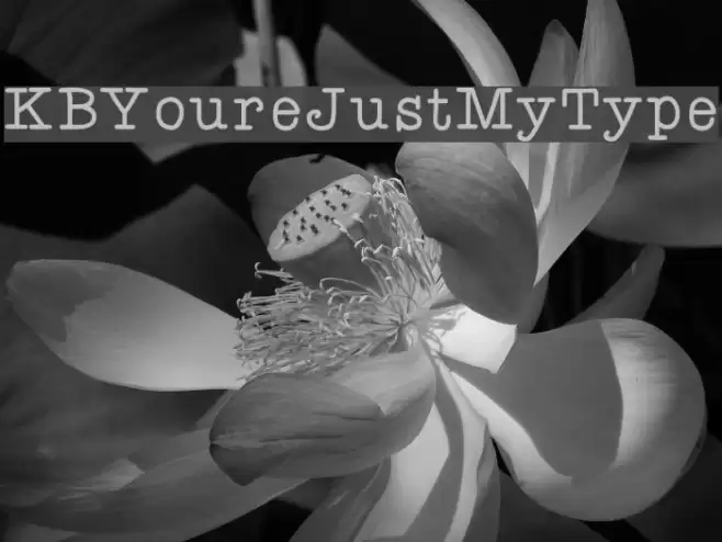 KBYoureJustMyType Font examples