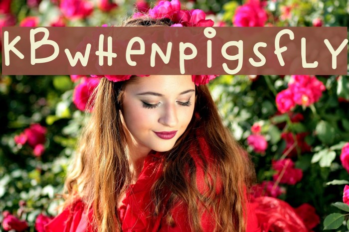 KBwhenpigsfly Font examples