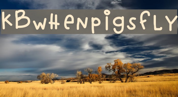 KBwhenpigsfly Font examples