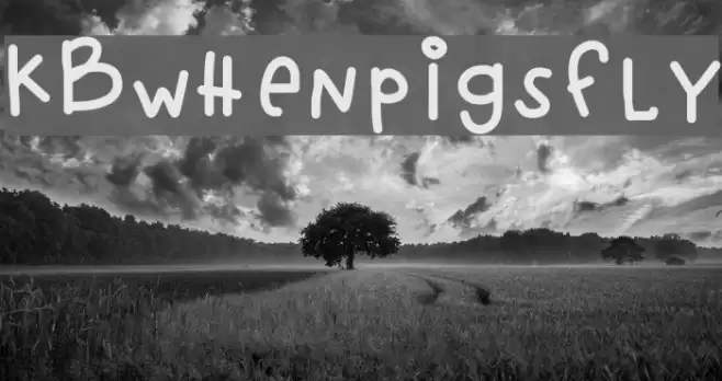 KBwhenpigsfly Font examples