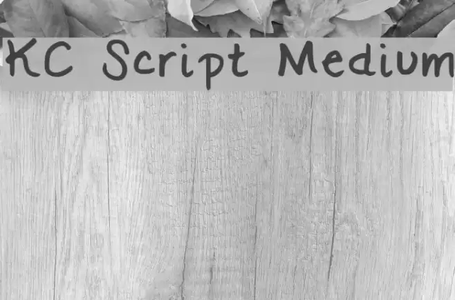 KC Script Medium Font examples