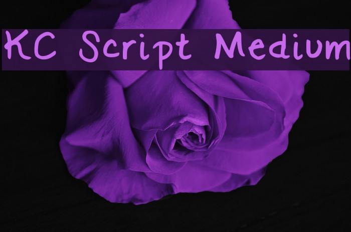 KC Script Medium Example 2