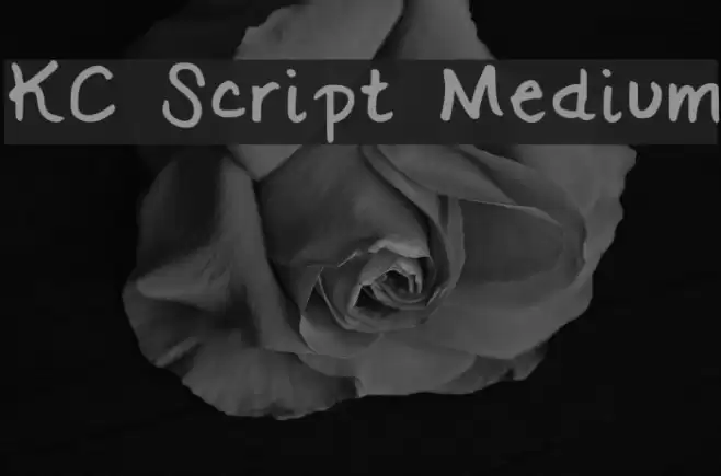 KC Script Medium Font examples