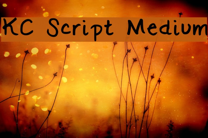 KC Script Medium Example 3