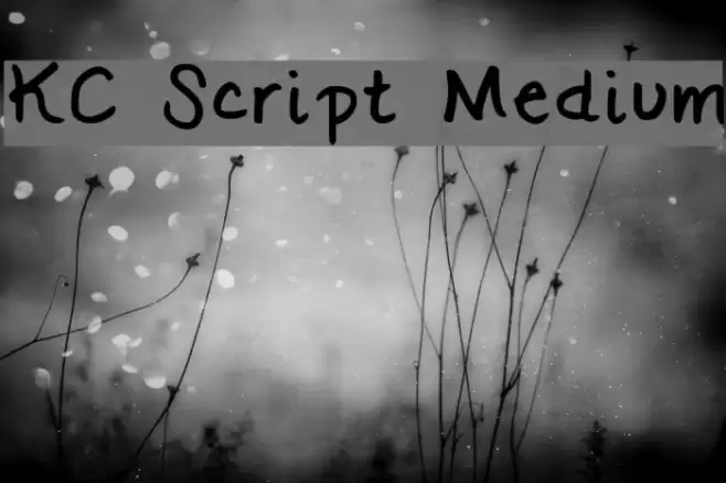 KC Script Medium Font examples