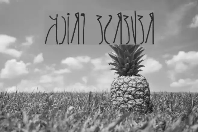 kcirF esreveR Font examples