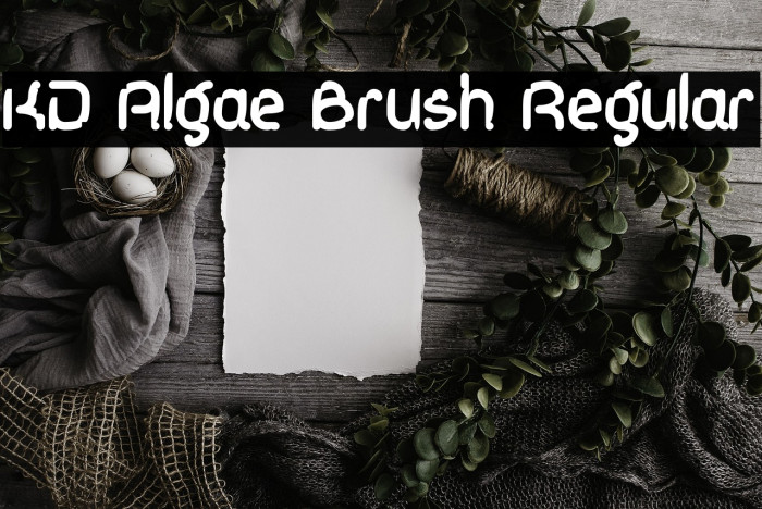 KD Algae Brush Regular Example 2