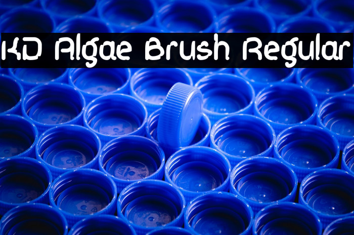 KD Algae Brush Regular Example 3