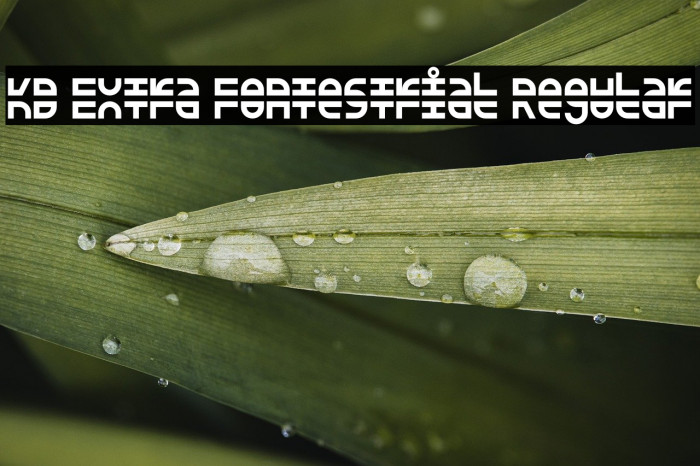 KD Extra Fontestrial Regular Example 1