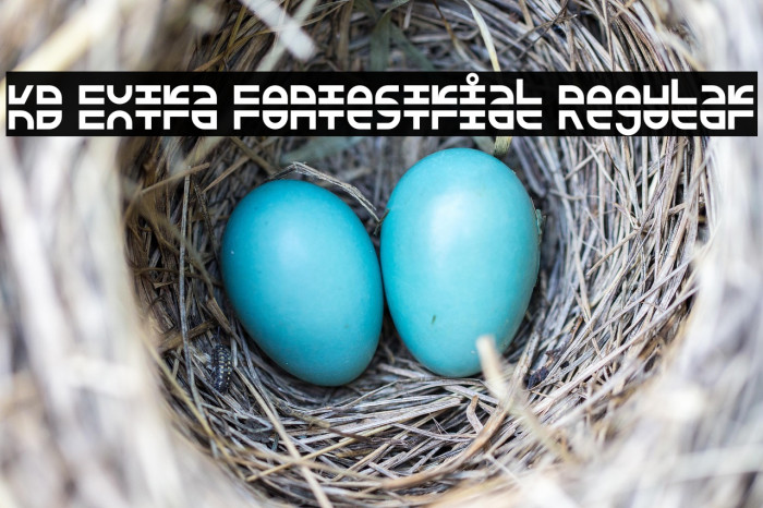 KD Extra Fontestrial Regular Example 3