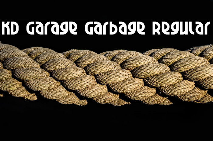 KD Garage Garbage Regular Example 1