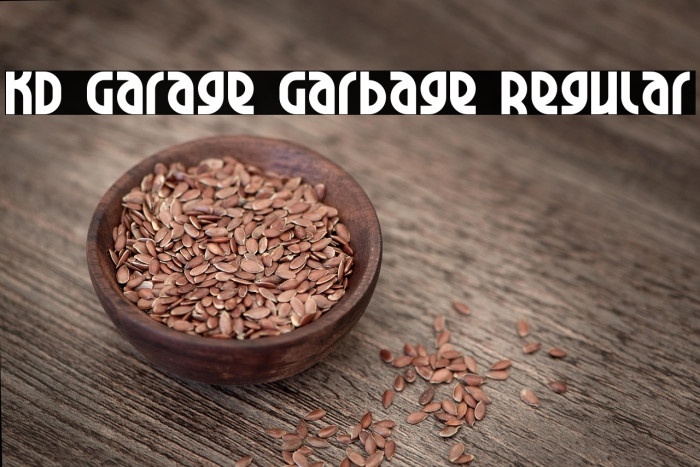 KD Garage Garbage Regular Example 2