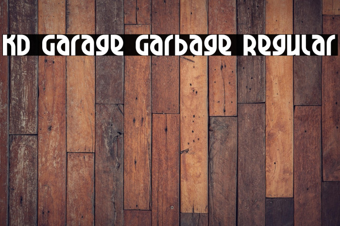 KD Garage Garbage Regular Example 3