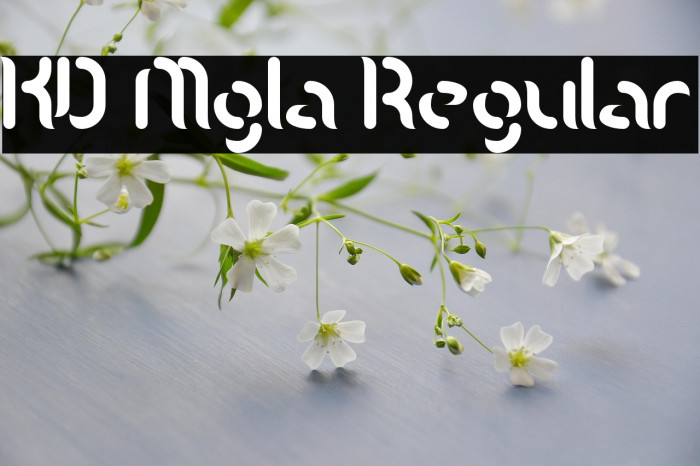 KD Mgla Regular Example 2