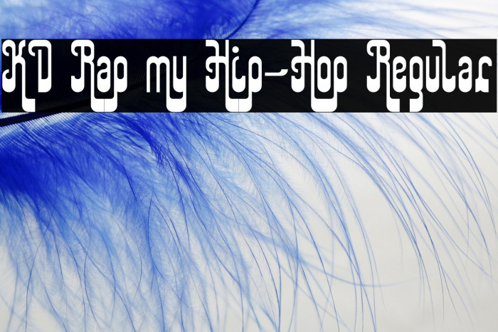 KD Rap my Hip-Hop Regular Example 1