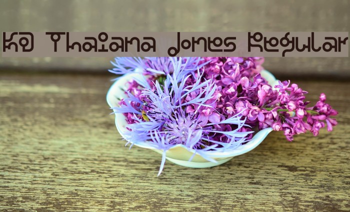 KD Thaiana Jones Regular Example 2