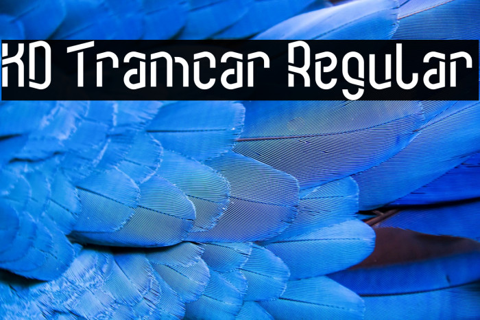 KD Tramcar Regular Example 1