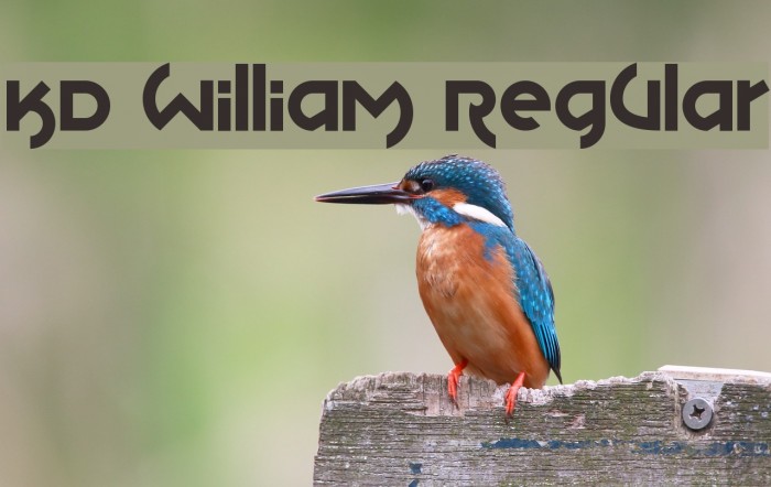 KD William Regular Font examples