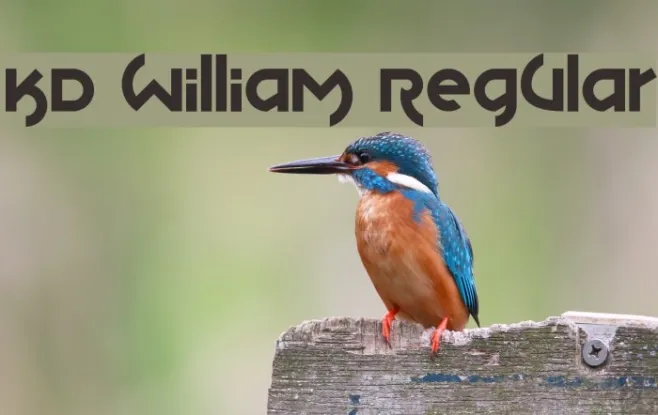 KD William Regular Example 2