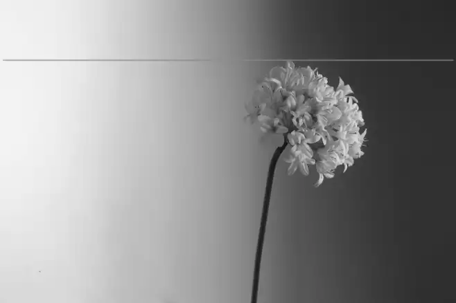 Kdam Thmor Font examples