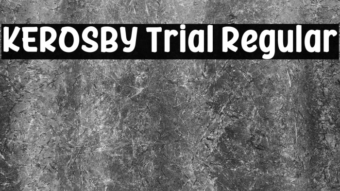 KEROSBY Trial Regular Example 2