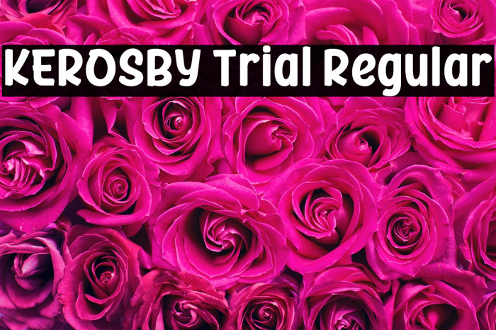 KEROSBY Trial Regular Example 3