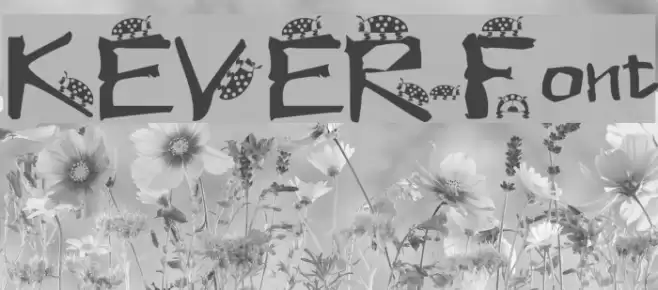 KEVER Font examples