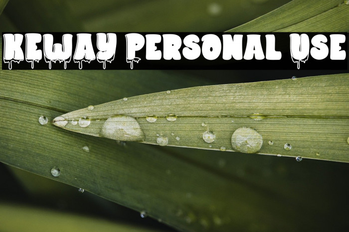 KEWAY Personal Use Example 2