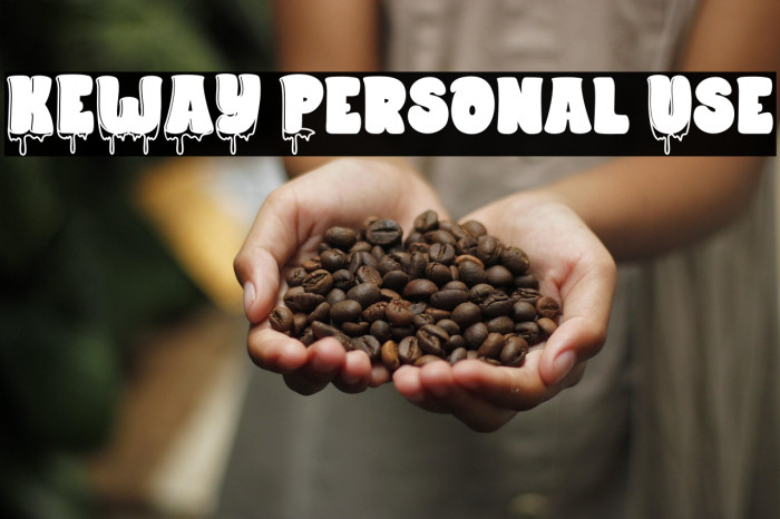 KEWAY Personal Use Example 3