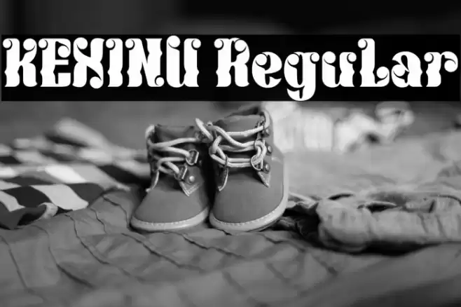 KEXINU Regular Caratteri examples