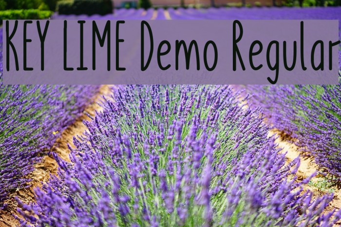 KEY LIME Demo Regular Font examples