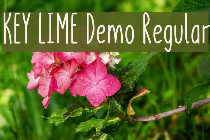 KEY LIME Demo Regular Font examples